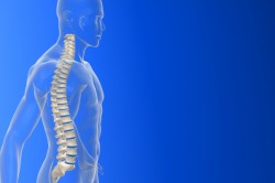 Травма спинного мозга Травма спинного мозга