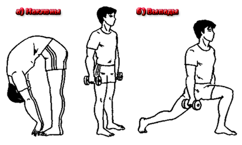 Упражнения для улучшения потенции Упражнения для улучшения потенции
