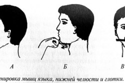 Упражнения от храпа Упражнения от храпа