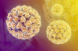 Вирус папилломы Вирус папилломы