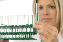 Влияние алкоголя на результаты спермограммы Влияние алкоголя на результаты спермограммы