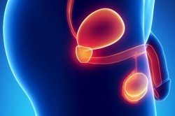 Восстановление системы кровообращения