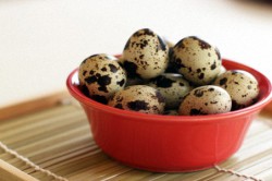 Вред перепелиных яиц Вред перепелиных яиц