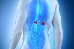 Заболевания надпочечников