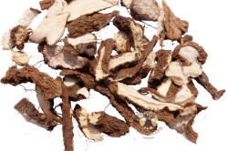 Адамов корень Адамов корень