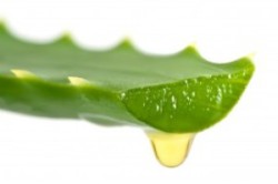 Сок алоэ Сок алоэ