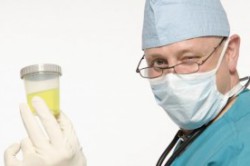 Анализ мочи при простатите Анализ мочи при простатите