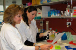 Исследование сока простаты Исследование сока простаты