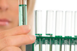 Анализы на половые инфекции Анализы на половые инфекции