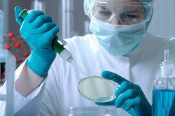 Микроскопическое исследование мазка Микроскопическое исследование мазка