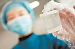 Сдача спермы на анализ Сдача спермы на анализ