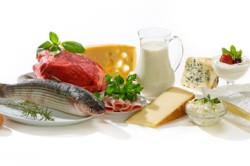 Продукты содержащие белок