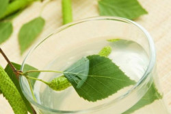 Березовый отвар при простатите Березовый отвар при простатите