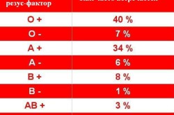 Соотношение групп крови с резусом Соотношение групп крови с резусом