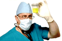 Анализ мочи Анализ мочи