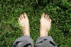 Прогулка босиком по траве