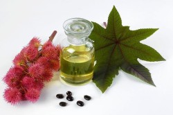 Касторовое масло Касторовое масло