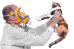 Причина высыпаний на головке - аллергия на домашних животных Причина высыпаний на головке - аллергия на домашних животных