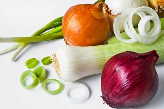 Лук зеленый и репчатый Лук зеленый и репчатый