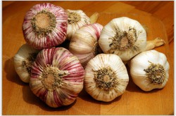 Афродизиак чеснок