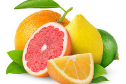Цитрусовые фрукты Цитрусовые фрукты