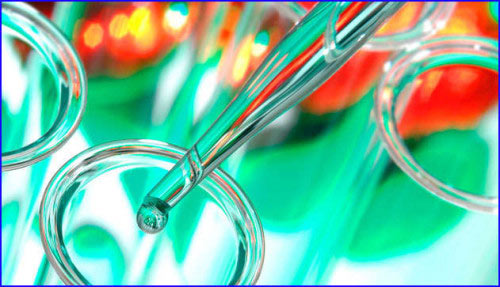 Анализы Анализы