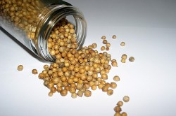 Семена кориандра Семена кориандра