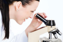 Диагностика варикоцеле Диагностика варикоцеле