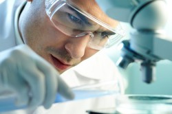 Микроскопия мазков Микроскопия мазков