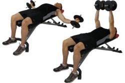 Рисунок 3. Разведение гантелей в стороны Рисунок 3. Разведение гантелей в стороны