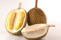 Дуриан