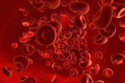 Оседание эритроцитов в крови