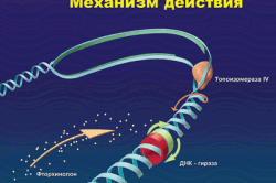 Фторхинолоны Фторхинолоны