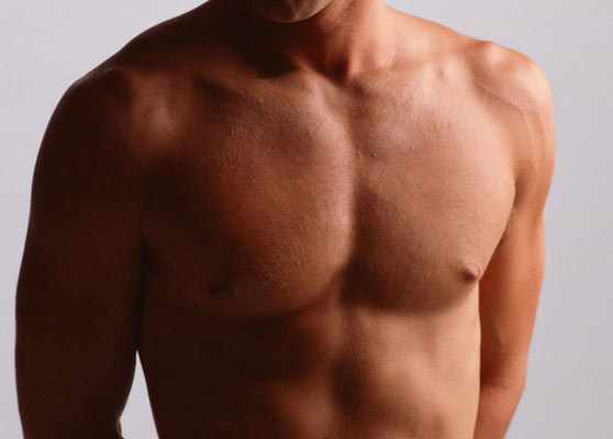 Молочные железы у мужчины Молочные железы у мужчины