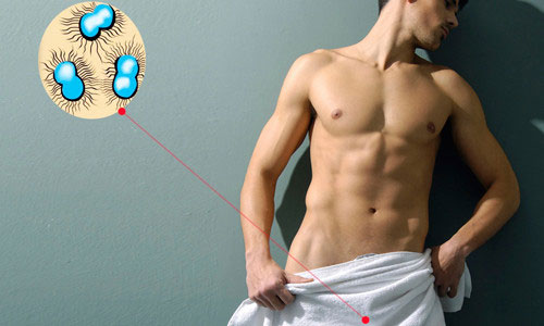 Гонорея Гонорея