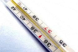 Повышение температуры после внедрения вируса Повышение температуры после внедрения вируса