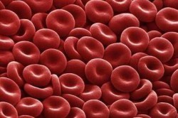 Хламидиоз у мужчин Хламидиоз у мужчин