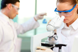 Исследование анализов