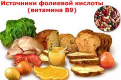 Источники фолиевой кислоты Источники фолиевой кислоты
