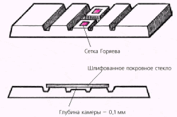 Камера Горяева - прибор для подсчета клеток Камера Горяева - прибор для подсчета клеток