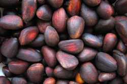 Кедровые орешки