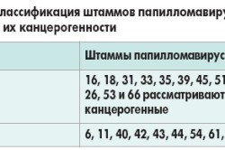 Классификация ВПЧ