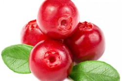 Лечение с помощью клюквы Лечение с помощью клюквы