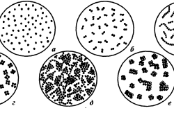 Взаимные расположения кокков: а - микрококки; б - диплококки; в - стрептококки; г - тетракокки; д - стафилококки; е - сарцины