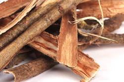 Высушенная кора