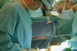 Оперативное лечение крипторхизма Оперативное лечение крипторхизма