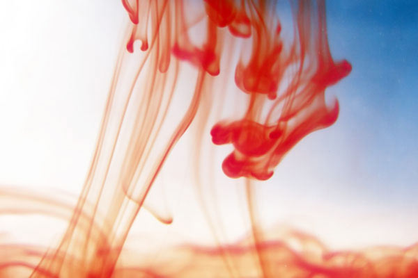 Кровь в семенной жидкости Кровь в семенной жидкости