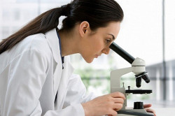 Проведение микроскопического исследования