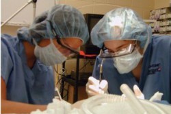 Удаление папилломы при помощи лазера