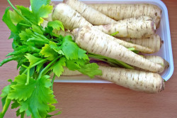 Корни петрушки для приготовления настойки Корни петрушки для приготовления настойки